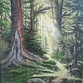 Полдень в лесу