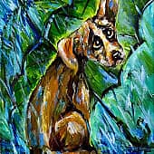 Грустная собачка под дождем