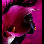 Цвет настроения