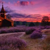 сиреневый закат