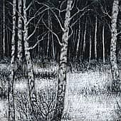 Среди зимы 32  Among the Winter 32