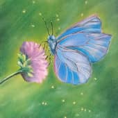 Голубая бабочка
