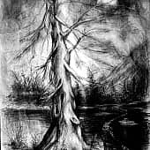 Где рождаются сказки...