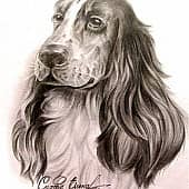 Собака друг человека