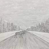 Встреча на дороге