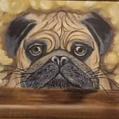 Грустный песик