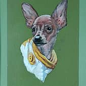 Модница Буська