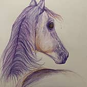 Фиолетовая