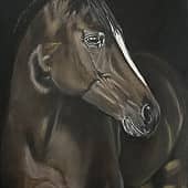 Портрет коня