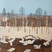 Весна в Якутии, 2004