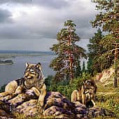 Сибирские просторы