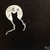 Лунный путь