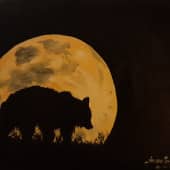 В лунной тишине