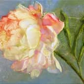 Пион, этюд, набросок