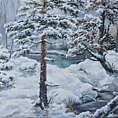 Замёрзший пруд в лесу