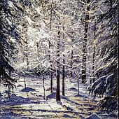 Зимний свет