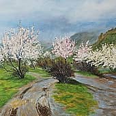 Крым после дождя