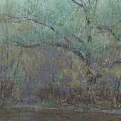 Ива под дождем