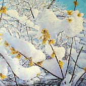 Изменения в природе