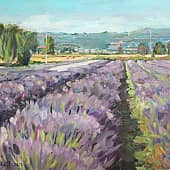 Лавандовые поля