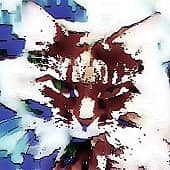 Кошка Василиса