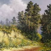 Тихо дремлет бор зеленый