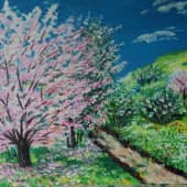 Земляничная поляна