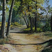 Остров Комсомольский.