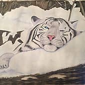 Белый тигренок