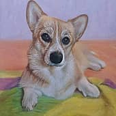 Павлиночка