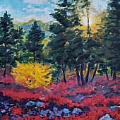 Утро в Сибири .