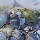 Камушки морские наблюдая