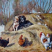 Собаки на сене