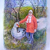 Создана необычная порода уток "Голиаф"