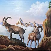 В горах Кавказа