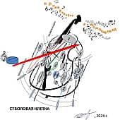 Музыка стремления клетки к жизни (вызванная рукой врачевателя)