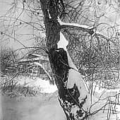 Старые дворы 33