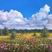 Июльское небо