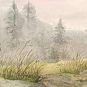 Северная красота