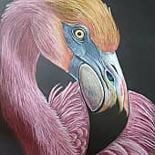Розовый фламинго