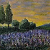 Целая поляна люпинов