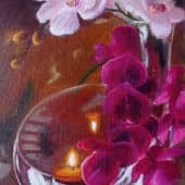Орхидеи