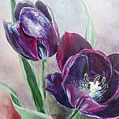 Тюльпаны