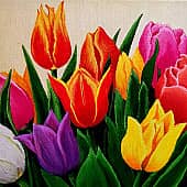 Тюльпаны