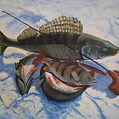 Зимний улов