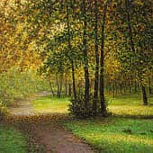 "Осенний месяц - 2 "