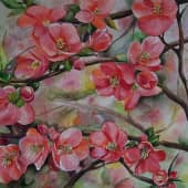 "Цветение айвы"