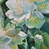 "Жасминовый аромат"