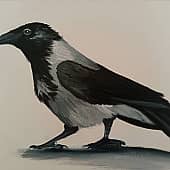 Ворон