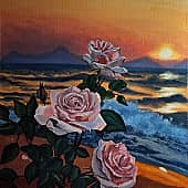 Розы в закате